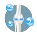 Bones-and-joints