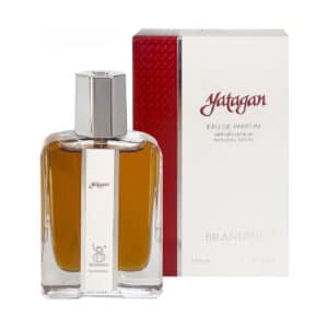 قیمت عطر مردانه یاتاقان برندینی